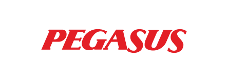 Pegasus